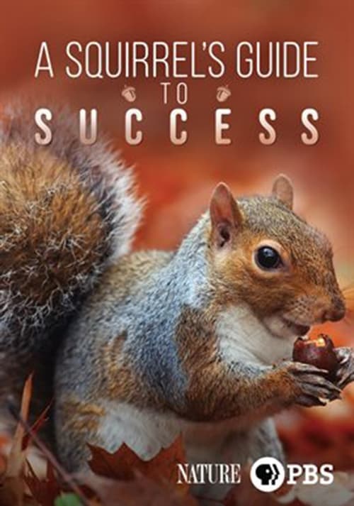 A Squirrel's Guide to Success poster