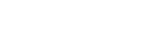 Avicii. Я — Тим