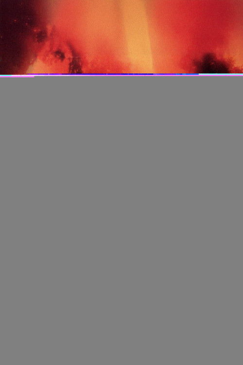 Pòster de 方世玉（系列）