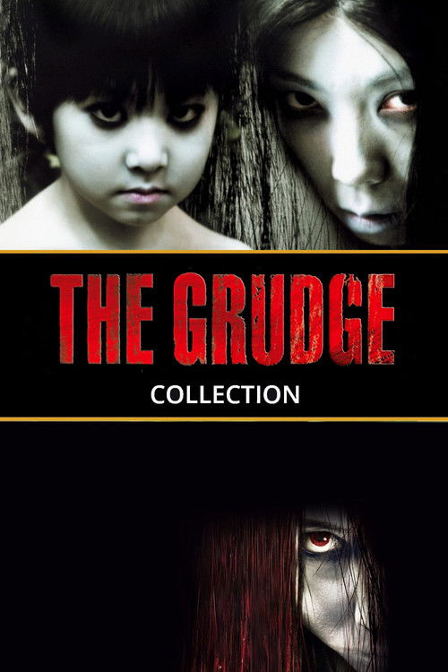 Pòster de The Grudge Collection