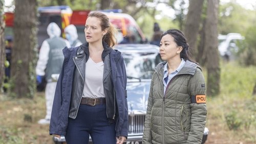 Poster della serie Murders in...