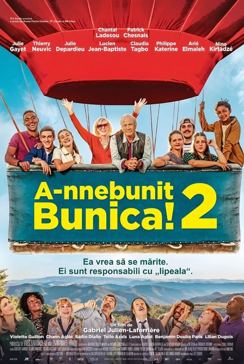 Poster pentru A-nnebunit bunica! 2