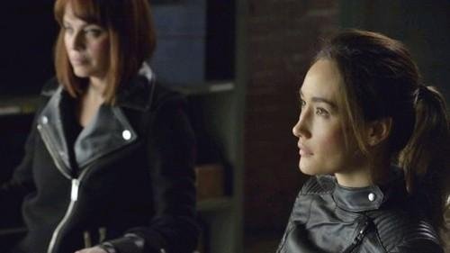 Nikita: 3×13