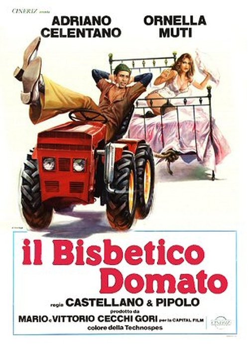 Il bisbetico domato movie poster player