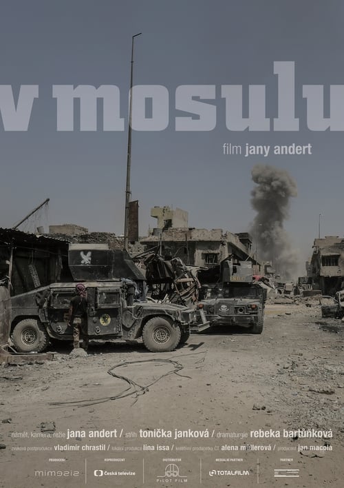 Poster V Mosulu 2018