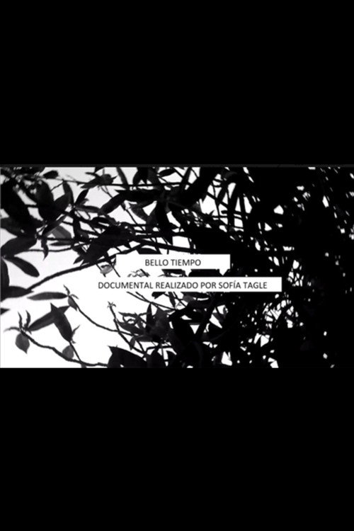 Bello Tiempo