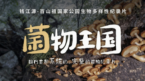 菌物王国 - Season 1 Backdrop Blur
