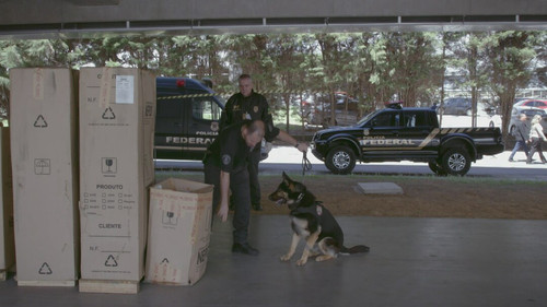 Aeroporto: Área Restrita: 7×9