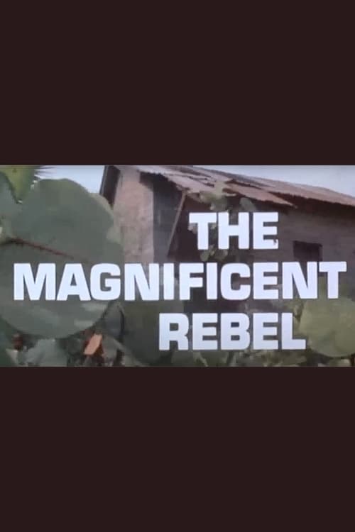 The Magnificent Rebel poster