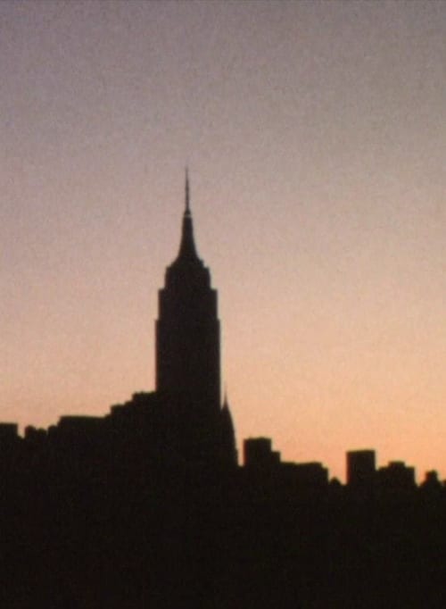 New York Film Diary 1995