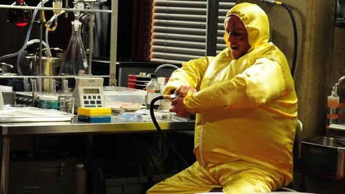 Breaking Bad, S03E08 - (2010)