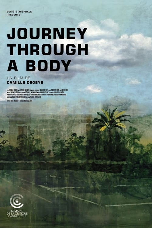 Journey Through a Body (2019) poster