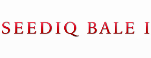 Warriors of the Rainbow: Seediq Bale - Part 1: The Sun Flag