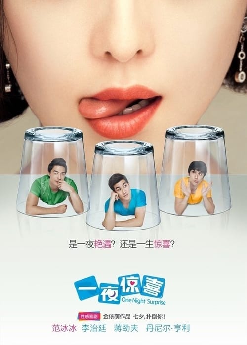 一夜惊喜 (2013) poster