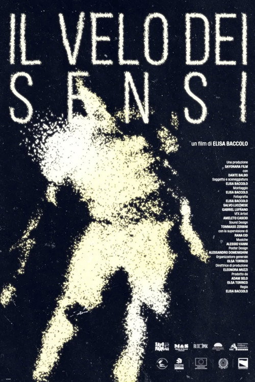 The Veil of Senses poster