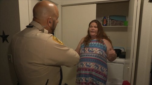 Poster della serie Cops