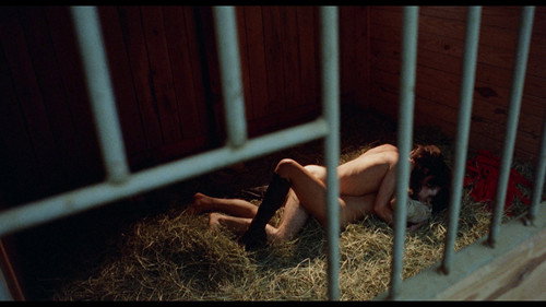 9 Lives of a Wet Pussy