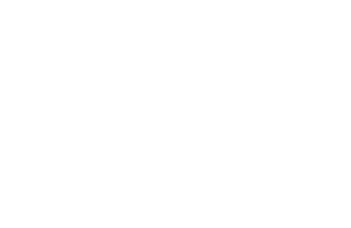 Majority