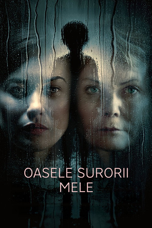 My Sister's Bones poster