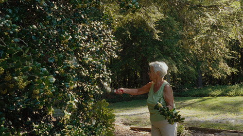 In the Garden Backdrop Blur