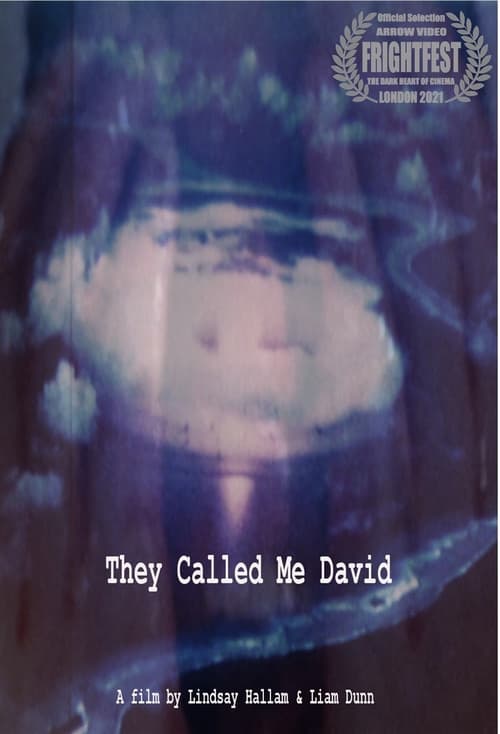 They Called Me David (2021) poster