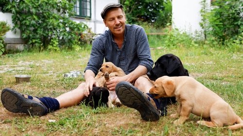 Image de l'épisode 13