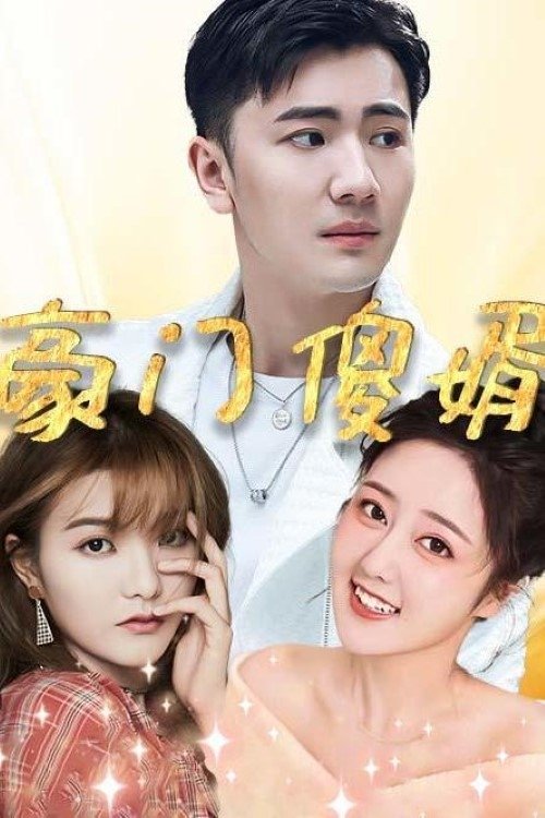 豪门傻婿