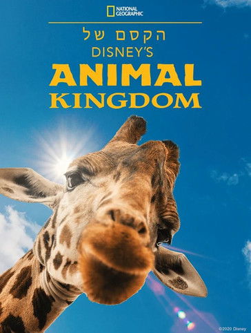 קסם ממלכת החיות של דיסני