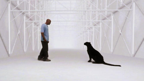 Image de l'épisode 22