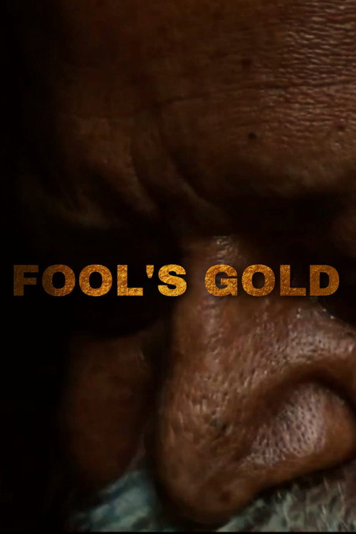 FOOL'S GOLD still 2