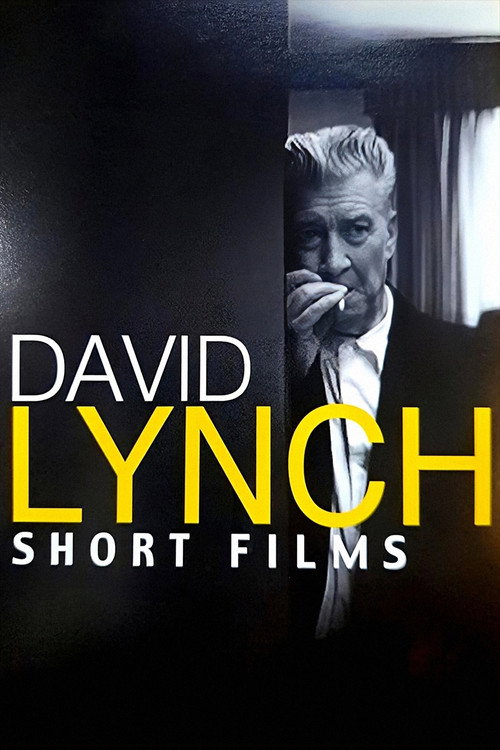 The Short Films of David Lynch