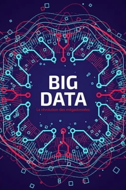 Big Data - La révolution des mégadonnées