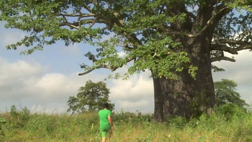 Tracking the Naturalists