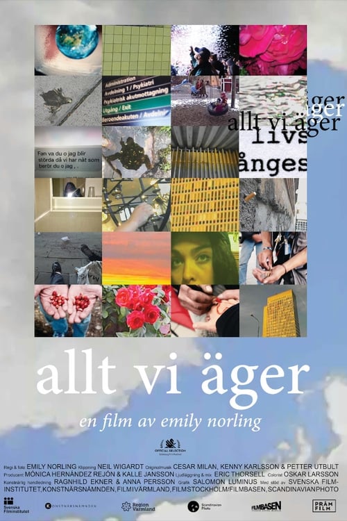 Allt vi äger 2019