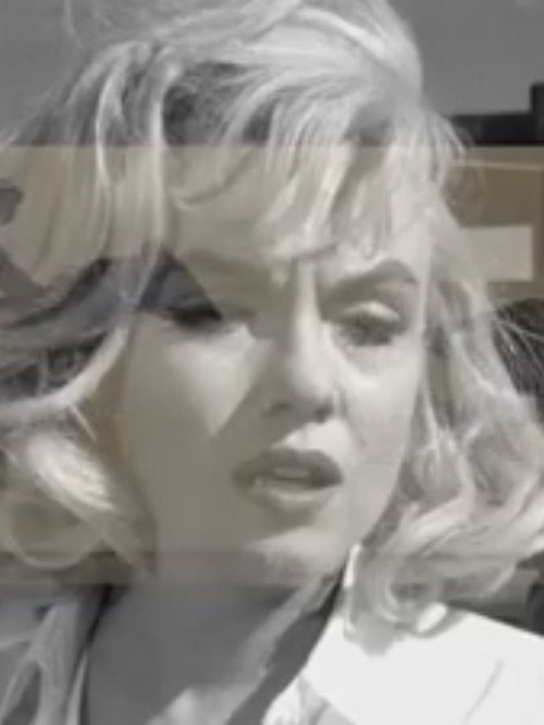 C’est la faute a Muybridge