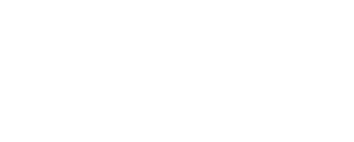 The Rink