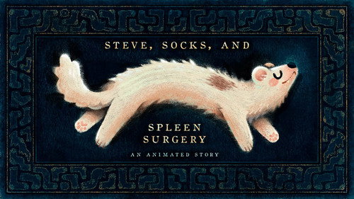 Steve, Socks, and Spleen Surgery Backdrop Blur