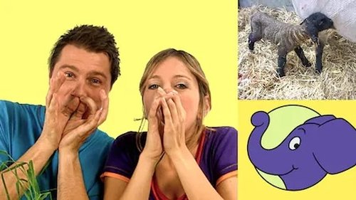 Image de l'épisode 306