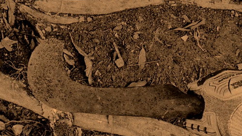 The Executioner's Tears