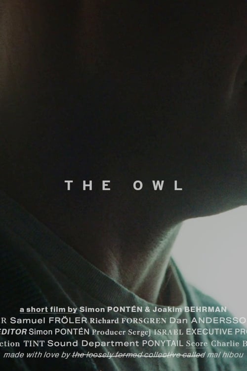 The Owl Movie Poster Image