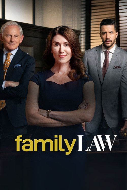 Where to stream Family Law Season 2