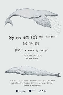 Dust is a Whale, is Sunlight poster