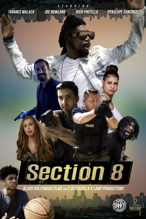 Where to stream Section 8