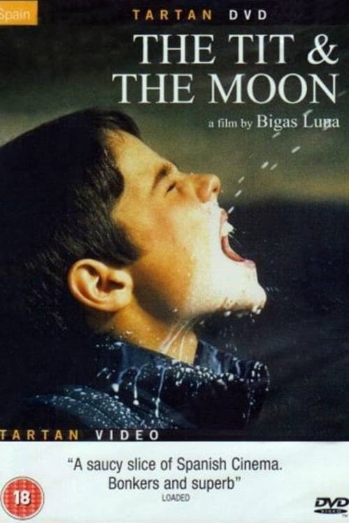 Poster La teta y la luna 1994