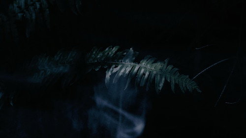 Ghost is Hungry still