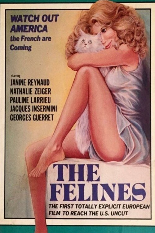Poster 4