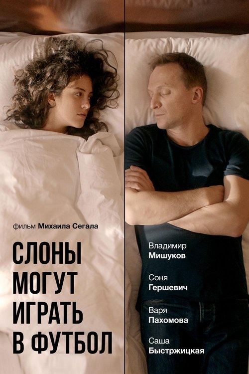 Слоны могут играть в футбол 2018