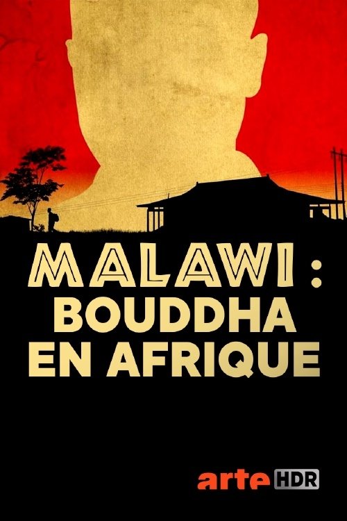 Buddha in Africa movie poster player