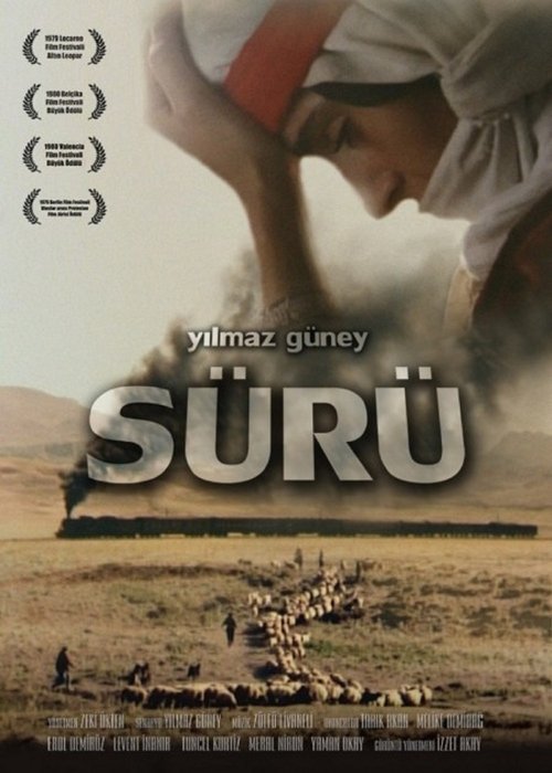 Sürü 1979