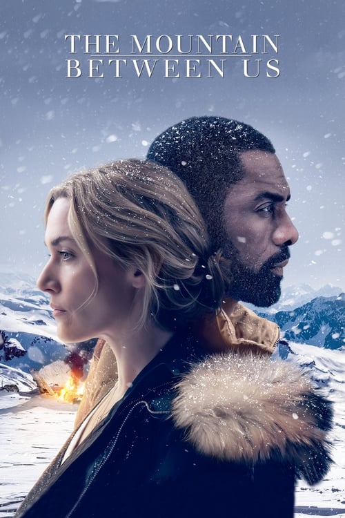 Grootschalige poster van The Mountain Between Us